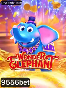Descubra o Envolvente Mundo de WonderElephant – Regras e Inovação